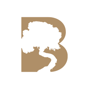005---~1